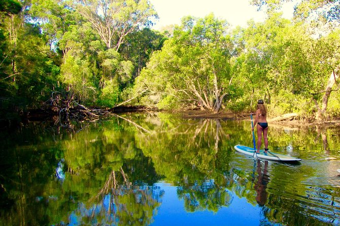 Byron Stand Up Paddle Nature Tour - Explore the Brunswick River