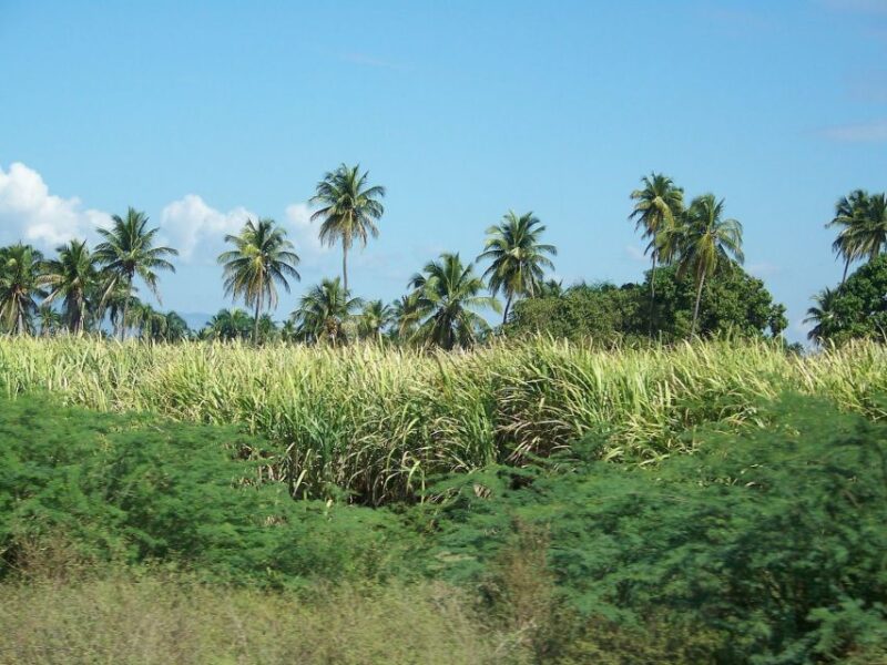 Cabarete: 2-Person Dominican Countryside Buggy Tour - Tour Details