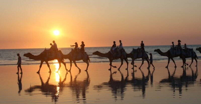 Cable Beach: 1-Hour Sunset Camel Ride - Activity Details