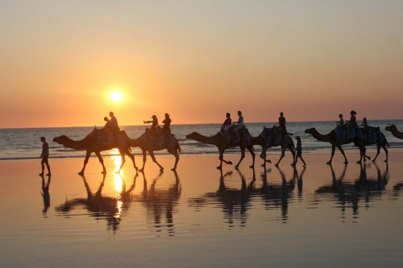 Cable Beach: 1-Hour Sunset Camel Ride - Experience Highlights