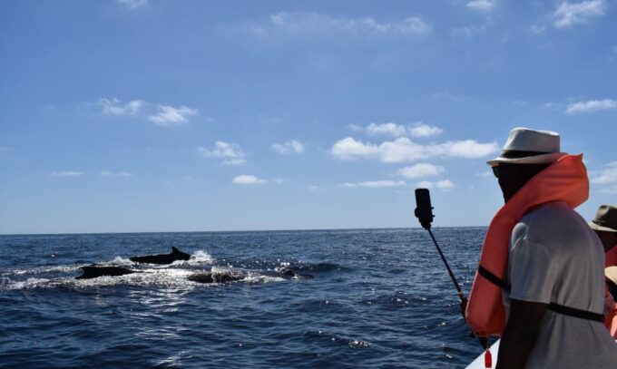 Cabo: 2-Hour Whale Watching Boat Ride With Free Pictures - Frequently Asked Questions