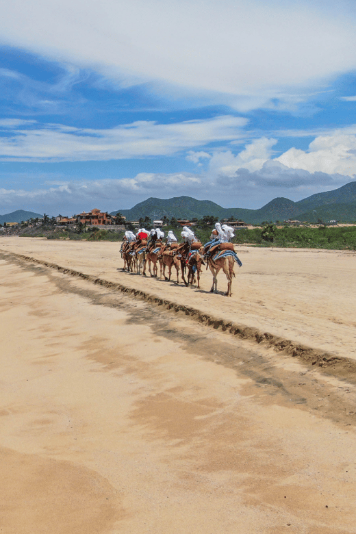 Cabo Adventure Combo: Camel Ride, ATV, and Mexican Lunch - Included Features