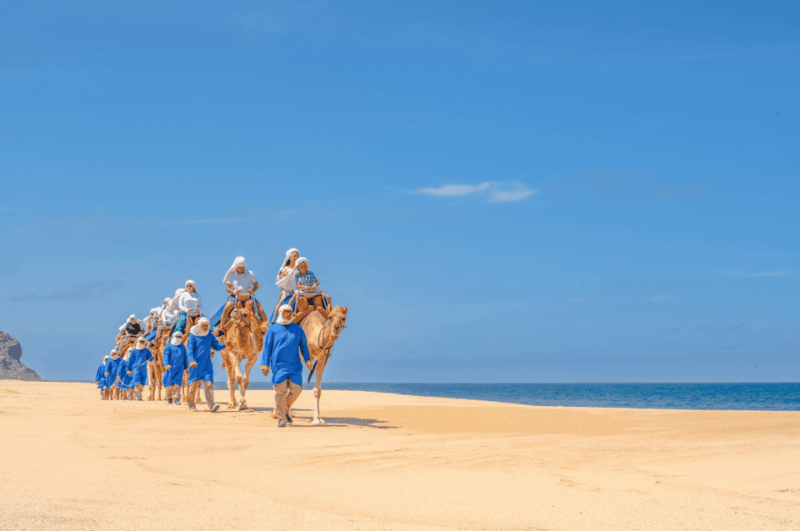Cabo Adventure Combo: Camel Ride, ATV, and Mexican Lunch - Important Requirements and Restrictions