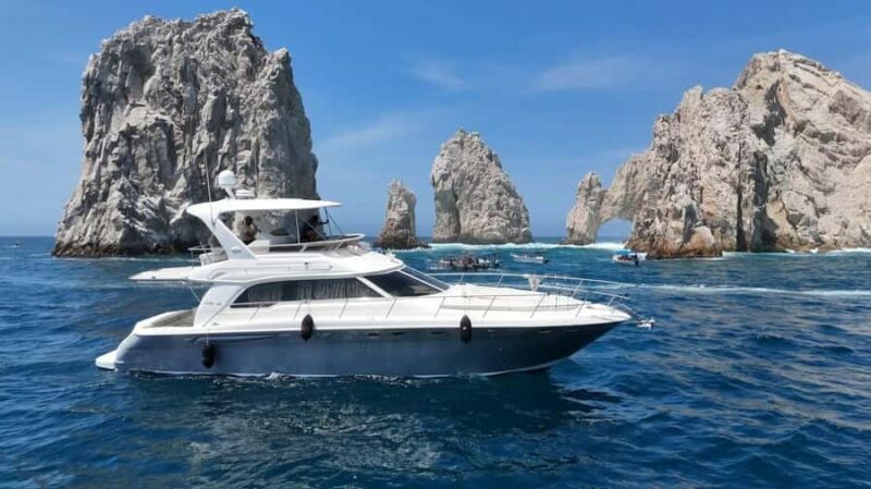 Cabo: Arch, Whales, Snorkel Tour - Food & Drinks 1-20 people - What to Expect from the Cabo: Arch, Whales, and Snorkel Tour