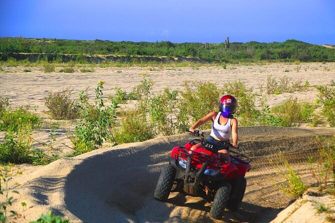Cabo ATV and Camel Ride Combo Migriño Adventure - Encountering the Gentle Camels