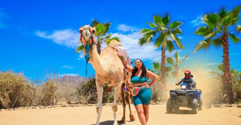 Cabo: ATV, Camel Ride, Mexican Lunch, and Tequila Combo Tour - Included Activities