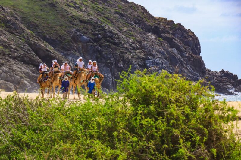 Cabo: ATV, Camel Ride, Mexican Lunch, and Tequila Combo Tour - Prohibited Items