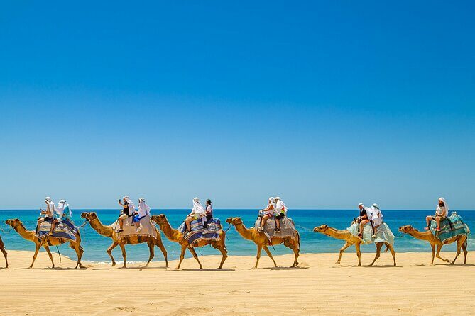 Cabo Beach Adventure Camel Ride and Sky Bike Experience - Exploring the Full Experience