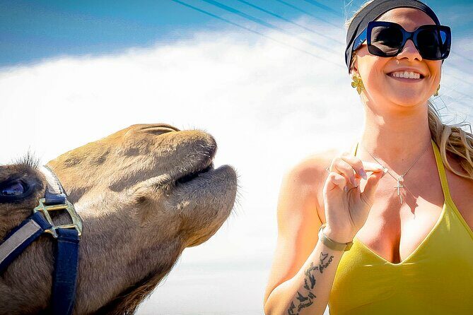 Cabo Beach Adventure Camel Ride and Sky Bike Experience - Practical Tips for Participants