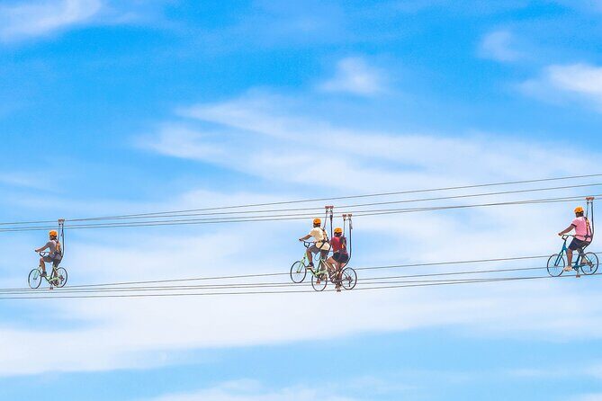 Cabo Beach Adventure Camel Ride and Sky Bike Experience - Final Thoughts: Who Should Consider This Tour?