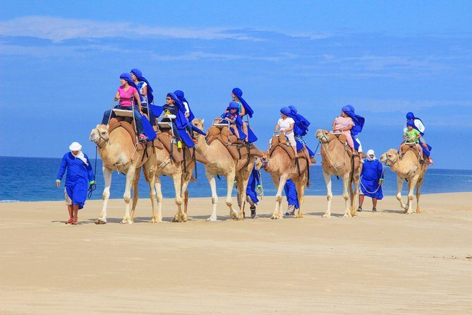 Cabo Beach Camel Ride, Mexican Buffet and Tequila Tasting - The Experience in Detail: What Makes It Special