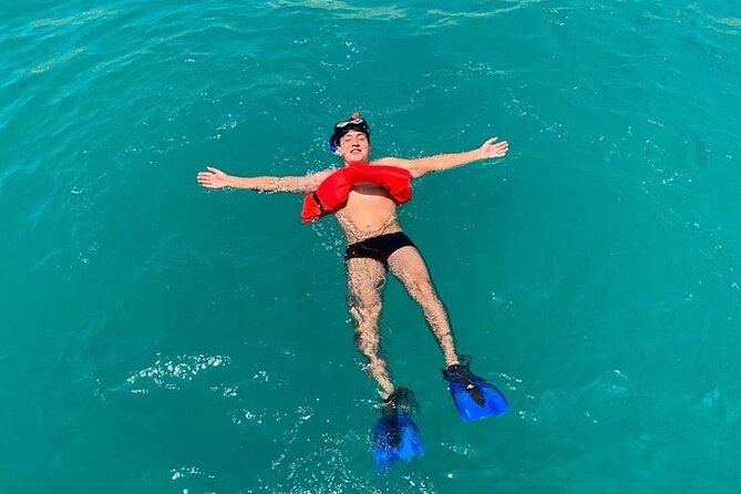 Cabo Blue Snorkeling Cruise, Open Bar and Lunch in Cabo San Lucas - What Reviewers Are Saying