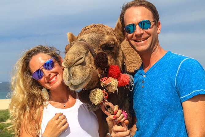 Cabo Camel Ride Experience - Whats Included in the Tour