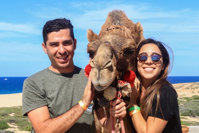 Cabo Camel Ride Experience - Pickup and Transportation Details