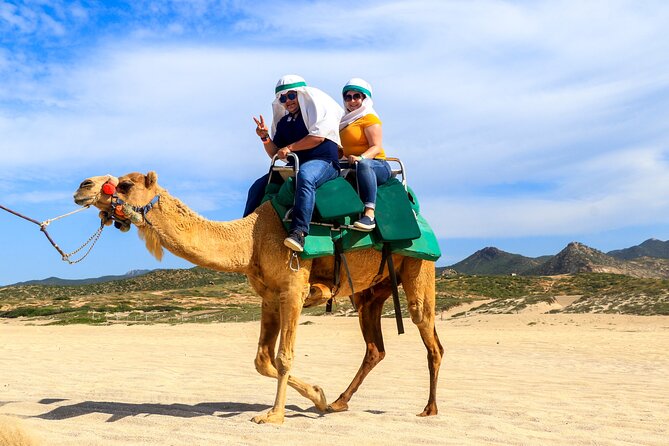 Cabo Camel Ride Experience - Tips for Your Camel Ride