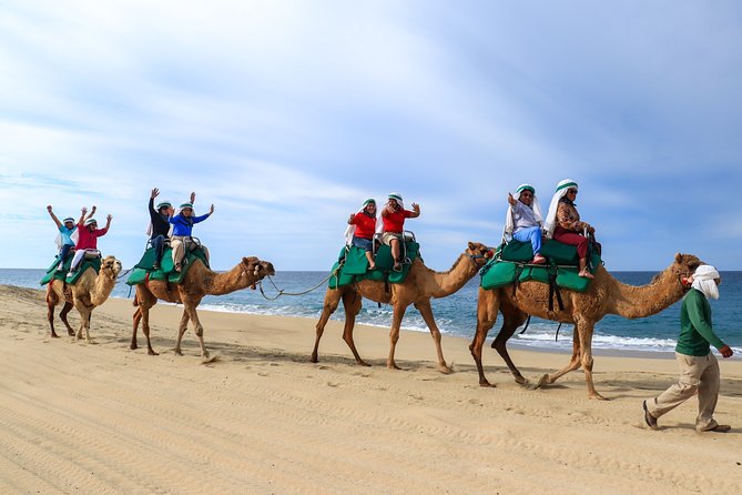 Cabo Camel Ride Experience - Frequently Asked Questions