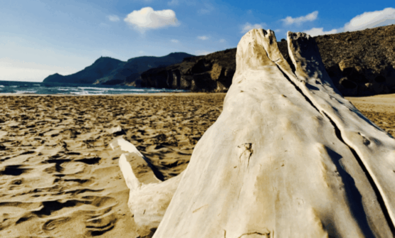 Cabo De Gata: 4x4 Tour Genoveses, Monsul and Gold Mines - Monsul Beach