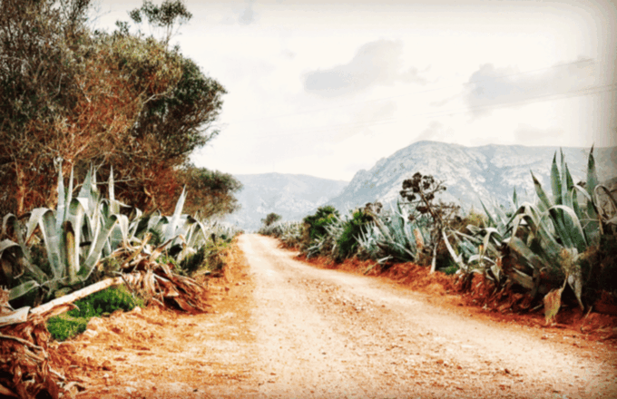 Cabo De Gata: 4x4 Tour Genoveses, Monsul and Gold Mines - La Amatista Balcony