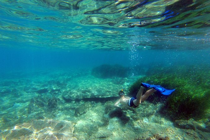 Cabo De Gata Active. Guided Kayak and Snorkel Tour Through the Coves of the Natural Park - Exploring the Fascinating Geology