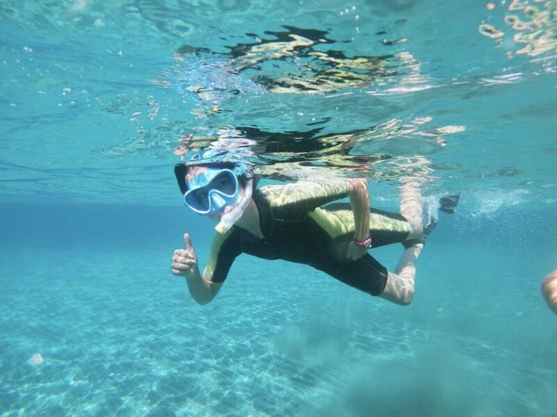 Cabo De Gata Natural Park: Guided Snorkeling Tour - Tour Overview