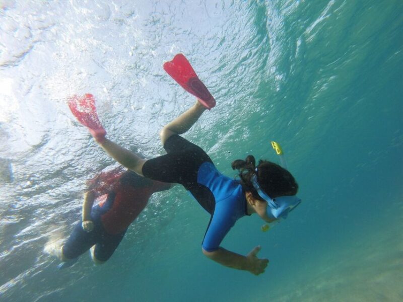 Cabo De Gata Natural Park: Guided Snorkeling Tour - Frequently Asked Questions