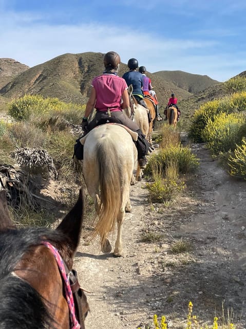 Cabo De Gata Natural Park: Horse Riding in Rodalquilar - Key Points