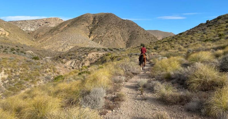 Cabo De Gata Natural Park: Horse Riding in Rodalquilar - Pricing Details