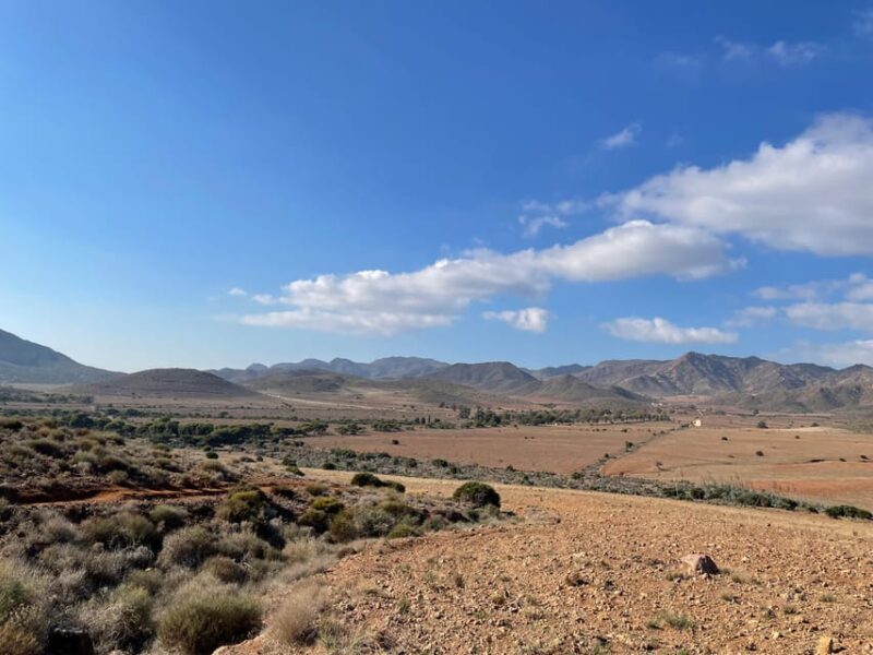 Cabo De Gata Natural Park: Horse Riding in Rodalquilar - Highlights of the Experience