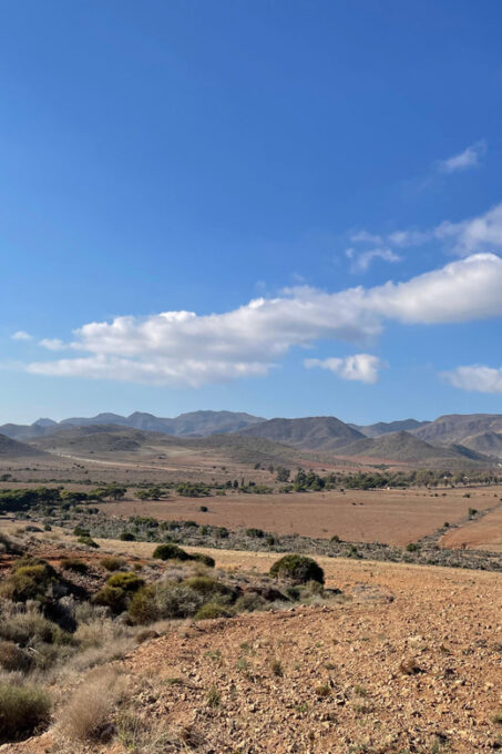 Cabo De Gata Natural Park: Horse Riding in Rodalquilar - Customer Reviews