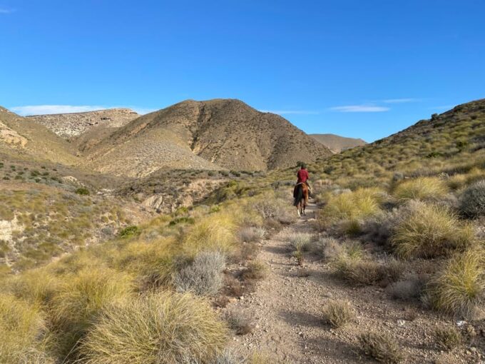 Cabo De Gata Natural Park: Horse Riding in Rodalquilar - Reserve Now and Pay Later