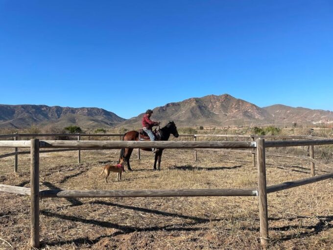 Cabo De Gata Natural Park: Horse Riding in Rodalquilar - Frequently Asked Questions