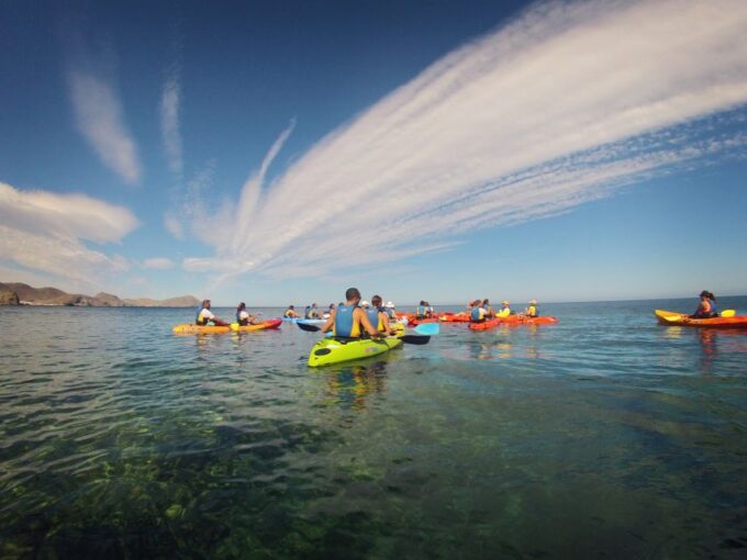 Cabo De Gata: Natural Park Kayaking and Snorkel Excursion - Customer Ratings and Feedback