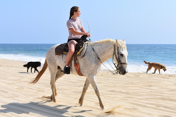 Cabo Desert ATV & Beach Horseback Combo and Tequila Tasting - Whats Included in the Tour