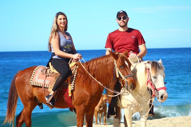 Cabo Desert ATV & Beach Horseback Combo and Tequila Tasting - Pickup and Transportation Details