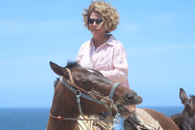 Cabo Desert ATV & Beach Horseback Combo and Tequila Tasting - Reviews and Ratings