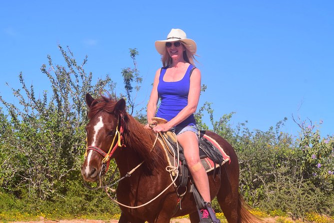 Cabo Desert ATV & Beach Horseback Combo and Tequila Tasting - Exploring Beaches, Desert, and Mountains