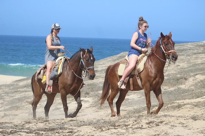 Cabo Desert ATV & Beach Horseback Combo and Tequila Tasting - Tequila Tasting Experience