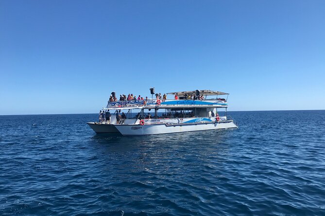 Cabo Escape Snorkel Fun Cruise - Snorkeling Experience