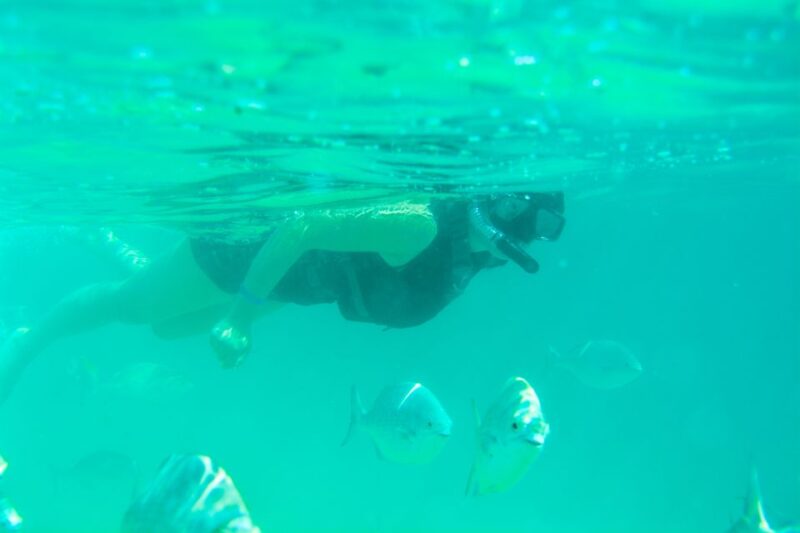 Cabo: Half-Day Kayak & Snorkel to Santa Maria & Chileno Bay - What to Bring