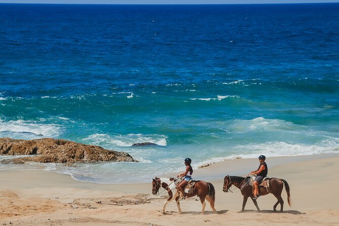 Cabo Horseback Riding on Pacific Beach and Desert - Tour Capacity and Guidance