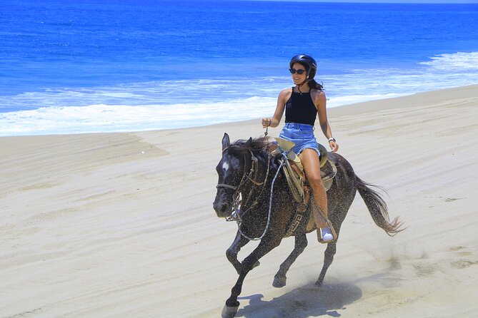 Cabo Horseback Riding on Pacific Beach and Desert - Included Features