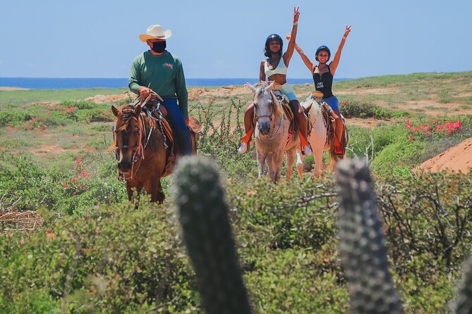 Cabo Horseback Riding on Pacific Beach and Desert - Customer Ratings and Feedback