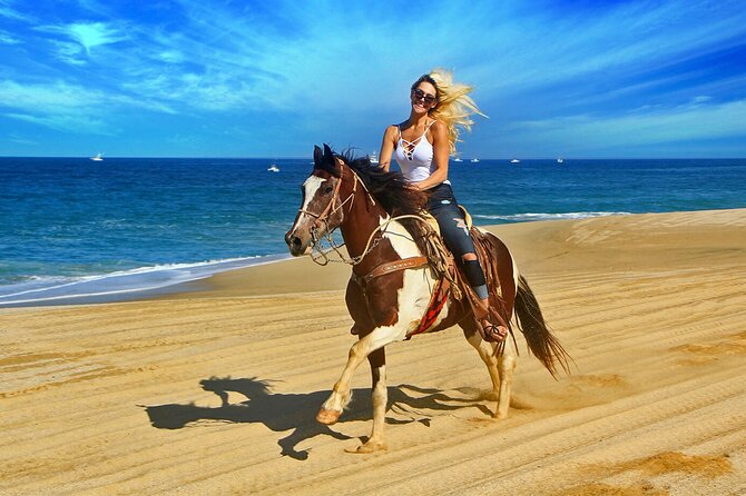 Cabo Horseback Riding on Pacific Beach and Desert - Pricing and Cancellation