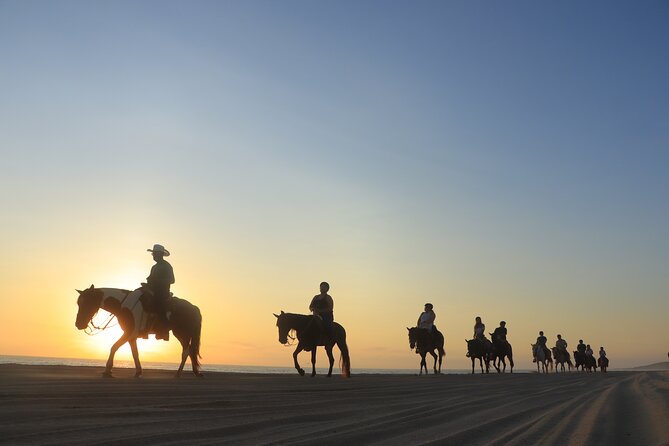 Cabo Horseback Riding on Pacific Beach and Desert - Recommendations and Tips