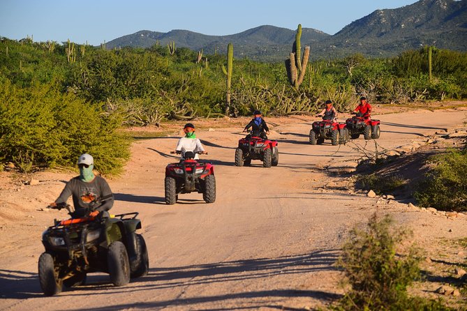 Cabo Migrino Beach and Desert ATV Tour Plus Tequila Tasting - Pickup and Transportation