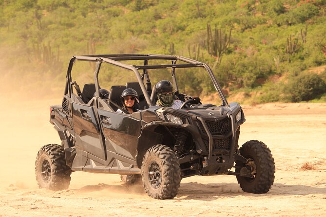 Cabo Migrino Beach & Desert Tour (Quad UTV) - Local Flora and Fauna