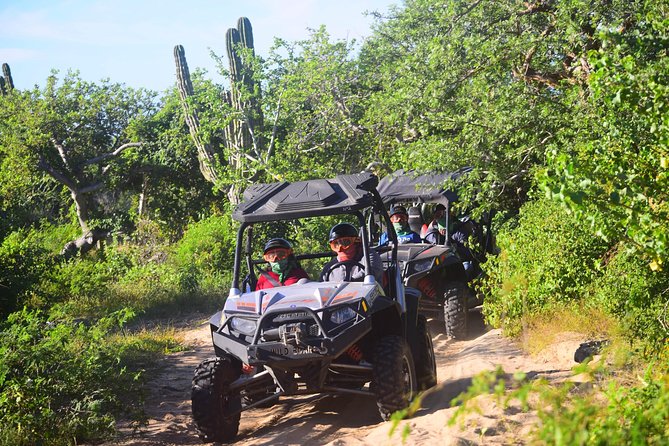 Cabo Migrino Beach & Desert Tour (Triple UTV) - Safety Considerations