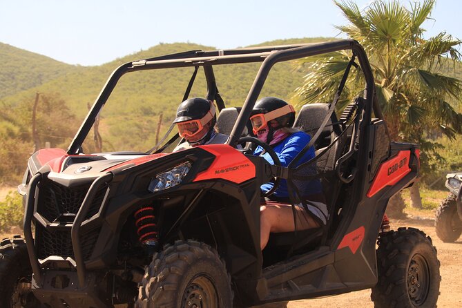 Cabo Migrino Beach & Desert UTV Tour and Tequila Tasting - Customer Reviews Highlights