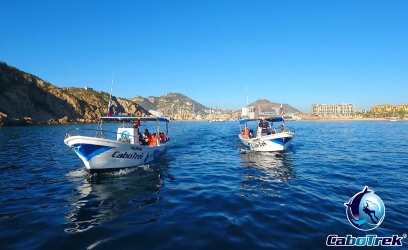 Cabo Ocean SAFARI - Experience Highlights