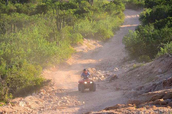 Cabo Original Real Baja 1000 Tour (Single ATV) - Exploring Bajas Rugged Terrain